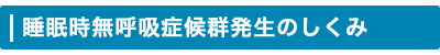 睡眠時無呼吸症候群発生のしくみ